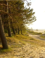 Jurmala